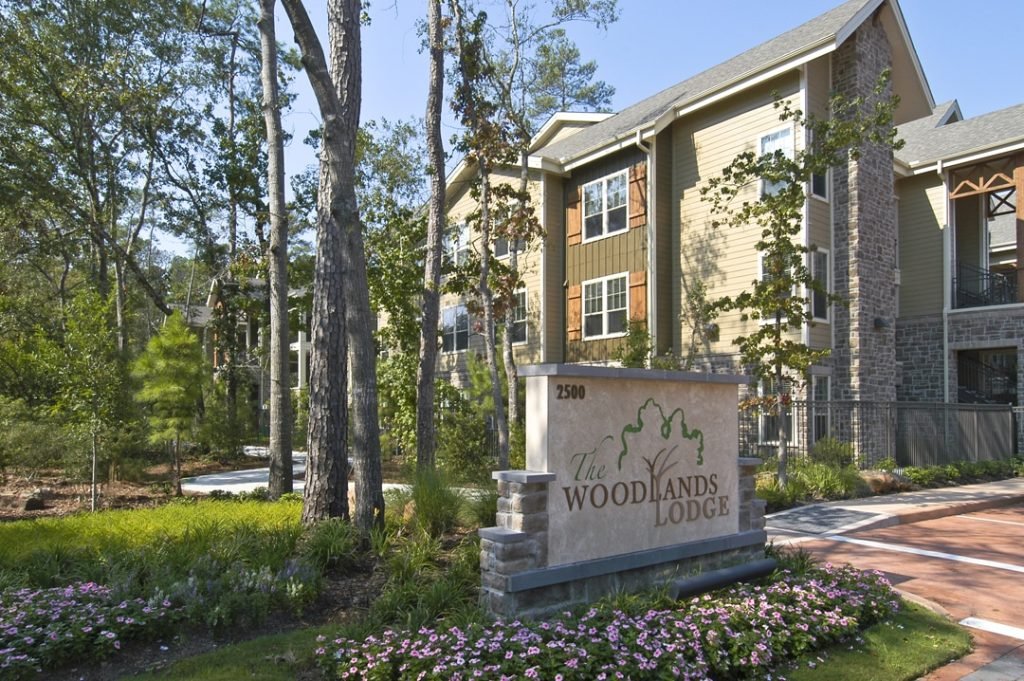 the woodlands 4